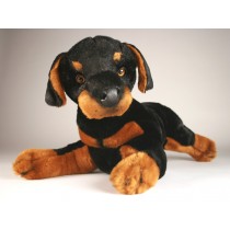 Doberman Pinscher Puppy 0269 by Piutrè