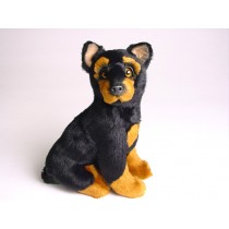 Doberman Pinscher Puppy 1303 by Piutrè