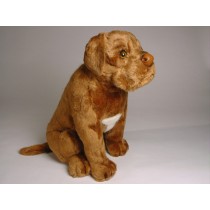Dogue de Bordeaux Puppy 1283 by Piutrè
