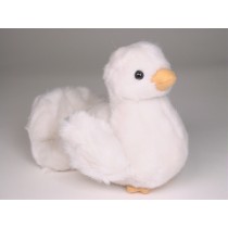 Dove Chick 0719 by Piutrè