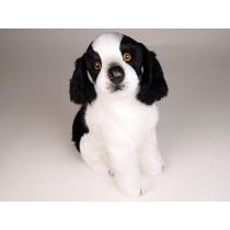 Epagneul Breton (Brittany) Puppy 0298 by Piutrè