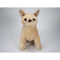French Bulldog Puppy 1366 by Piutrè 