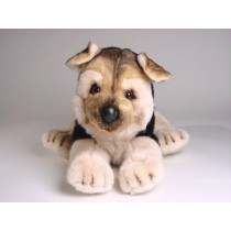 German Shepherd Dog Puppy 2226 by Piutrè