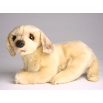 Golden Retriever (Miniature) 4248 by Piutrè 