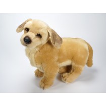 Golden Retriever Puppy 2203 by Piutrè 