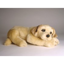 Golden Retriever Puppy 2209 by Piutrè