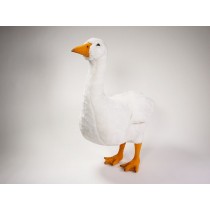Goose 0722 by Piutrè