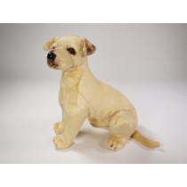 ​Great Dane Puppy 3302 by Piutrè