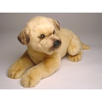 Great Dane Puppy 3305 by Piutrè 