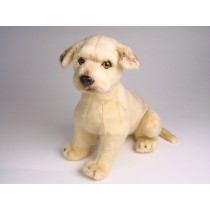 Great Dane Puppy 3306 by Piutrè 