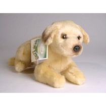 Great Dane Puppy 3307 by Piutrè 