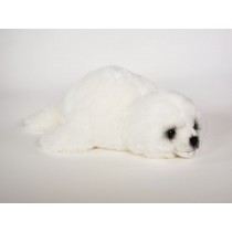 Harp Seal Pup 2541 by Piutrè 