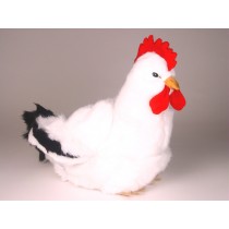 Hen 0700 by Piutrè