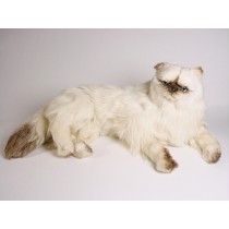 ​Himalayan Persian Cat 2428 by Piutrè