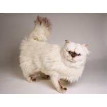 ​​Himalayan Persian ​Cat 24​30 by Piutrè