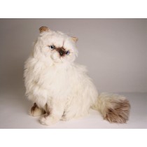 ​​Himalayan Persian ​Cat 24​31 by Piutrè