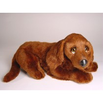 Irish Setter Puppy 3225 by Piutrè 