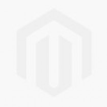 Colorpoint Ragdoll Kitten 2363