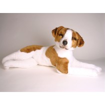 Jack Russell Terrier 1231 by Piutrè