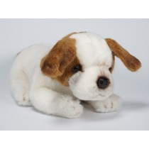 Jack Russell Terrier Puppy 1233 by Piutrè