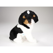 Jack Russell Terrier Puppy 1234 by Piutrè