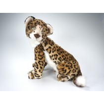 Jaguar Cub 0506 by Piutrè 