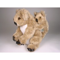 Koala with Cub 2672 by Piutrè