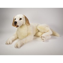 Labrador Retriever 1226 by Piutrè