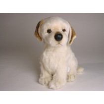Labrador Retriever Puppy 1203 by Piutrè