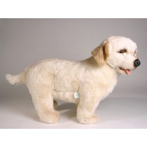 Labrador Retriever Puppy 1224 by Piutrè