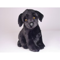 Labrador Retriever Puppy 3339 by Piutrè 
