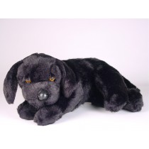 Labrador Retriever Puppy 3341 by Piutrè 