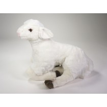 Lamb 0725 by Piutrè 