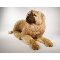 Leonberger 3362 by Piutrè 