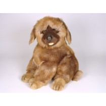 Leonberger Puppy 3363 by Piutrè 