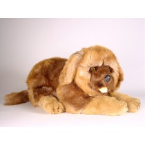 Leonberger Puppy 3364 by Piutrè 