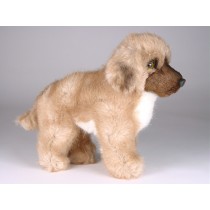 Leonberger Puppy 3365 by Piutrè 