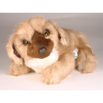 Leonberger Puppy 3366 by Piutrè 