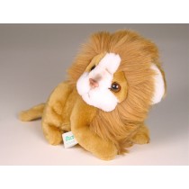 Lion Cub (Mascot) 0551 by Piutrè