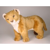 Lion Cub 2504 by Piutrè