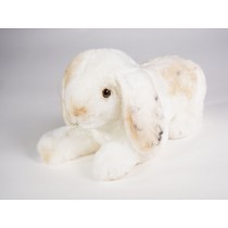 Lop-Eared Rabbit 0635 by Piutrè