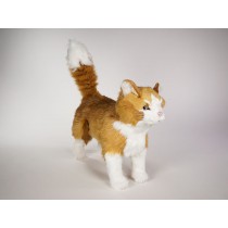 Maine Coon Cat 2384 by Piutrè 