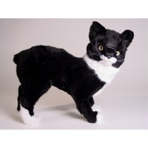 Manx Cat 0323 by Piutrè