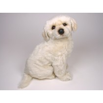 Maremma Sheepdog Puppy 3213 by Piutrè 