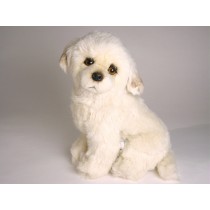 Maremma Sheepdog Puppy 3216 by Piutrè
