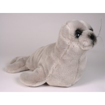 Mediterranean Monk Seal Pup 2676 by Piutrè 