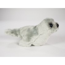 ​Mediterranean Monk Seal Pup 2677 by Piutrè