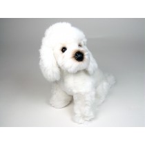Miniature Poodle Puppy 0281 by Piutrè