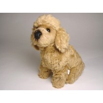 Miniature Poodle Puppy 0287 by Piutrè