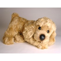 Miniature Poodle Puppy 0288 by Piutrè